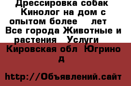 Дрессировка собак (Кинолог на дом с опытом более 10 лет) - Все города Животные и растения » Услуги   . Кировская обл.,Югрино д.